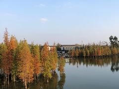-白鹭湾湿地公园