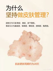 点击看大图 -玛莲朵·海菲秀冰珀科