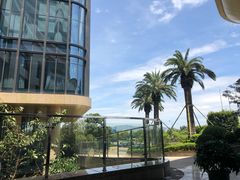 -舟山希尔顿酒店