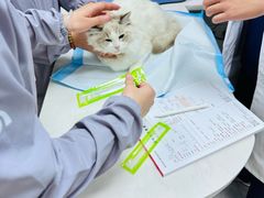 -贝康宠物医院·犬猫全科·小动物特色诊疗中心(东环路店)