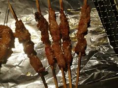 -那些年记忆烧烤