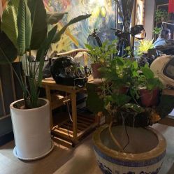 -木子·纹身店TATTOO穿孔·洗纹身