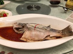 清蒸武昌鱼-亢龙太子酒轩(东湖店)