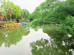 -柳侯公园