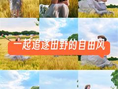 -贡湖湾湿地公园