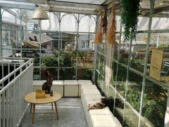 -小时光咖啡馆(北锣鼓巷店)