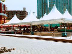 -朝阳公园游乐园