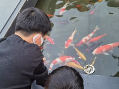 -濮园 · 四合院餐厅