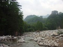 -黑河国家森林公园