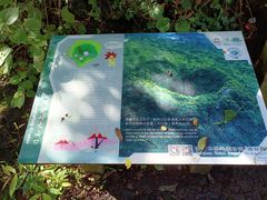 -海口火山口国家地质公园