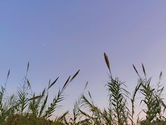 -牛岗山公园