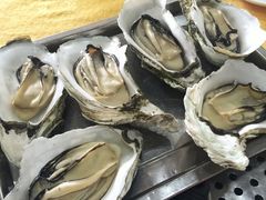 -蚝专家(北滘店)