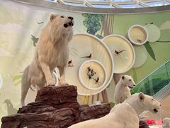 -陕西自然博物馆