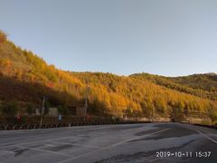 -天女山森林公园