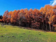 -硗碛藏寨·神木垒景区