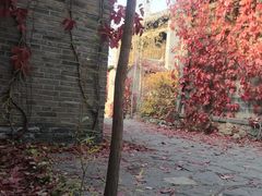 -步步高桥头糕
