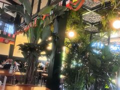 -普兰达德国餐厅·德式脆皮烤猪肘·自酿啤酒(观唐店)