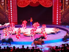 -珠海横琴长隆《卡卡虎奇遇记》