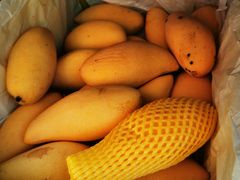 -上海龙吴水胜海发市场