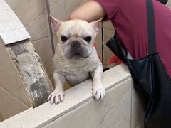 -美联众合动物医院·24h京西诊疗中心