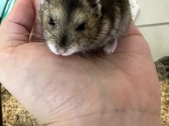 -怪兽屋·羊驼·猫咖·狗咖(俊华广场店)