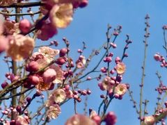 -白塘生态植物园