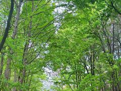 -昆明植物园