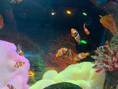 -沈阳海洋探索中心