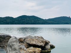 -东湖落雁景区