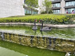 -南京圣和府邸豪华精选酒店-宴会厅婚宴·生日宴·宝宝宴