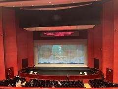 -合肥大剧院