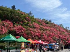 -木兰云雾山