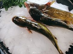-五星桥原切肥牛火锅·30年专注好牛肉(湖塘店)
