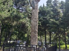 -北陵公园