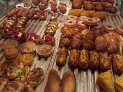 -蒲公英(五里店)