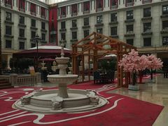 -中家鑫园温泉酒店-自助餐