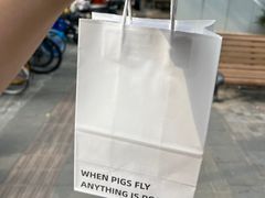 -WHEN PIGS FLY当猪飞