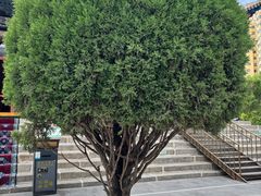 -西宁市东关清真大寺