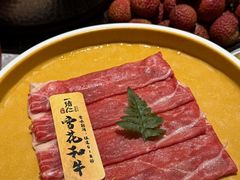 -一绪に寿喜烧(虹悦城店)