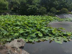 -郑和公园