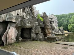 -黑龙江省森林植物园