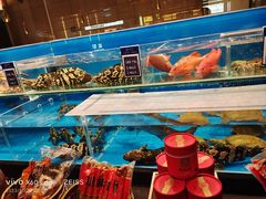 -许家菜(DT51店)