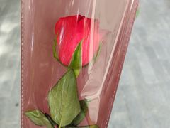 -杏林康桥中医正骨·体态矫正·跌打损伤·推拿按摩(国贸建外SOHO店)