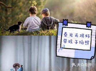 正值春光，带孩子出去走一走，拍一拍吧！