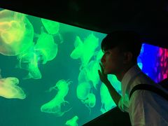 -成都浩海立方海洋公园