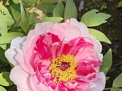 -狼山风景名胜区