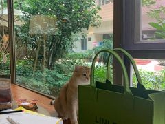 -咖法森林·咖啡  酒吧(天河店)