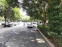 -东莞植物园
