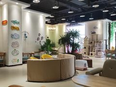 大堂-藏猫猫咖啡主题馆(中央大道店)