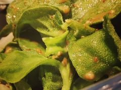 -苏浙徽·江南荟·本味融合菜(相城方圆里店)